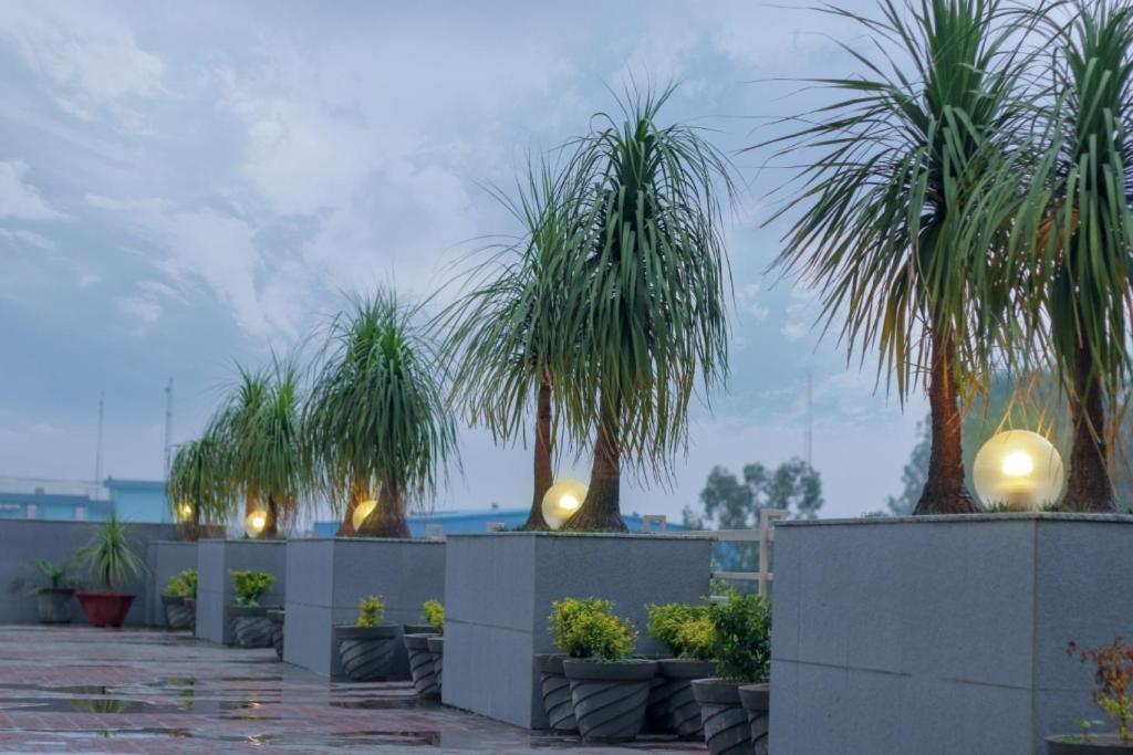 Mg Regency Hotel Baddi Exterior photo